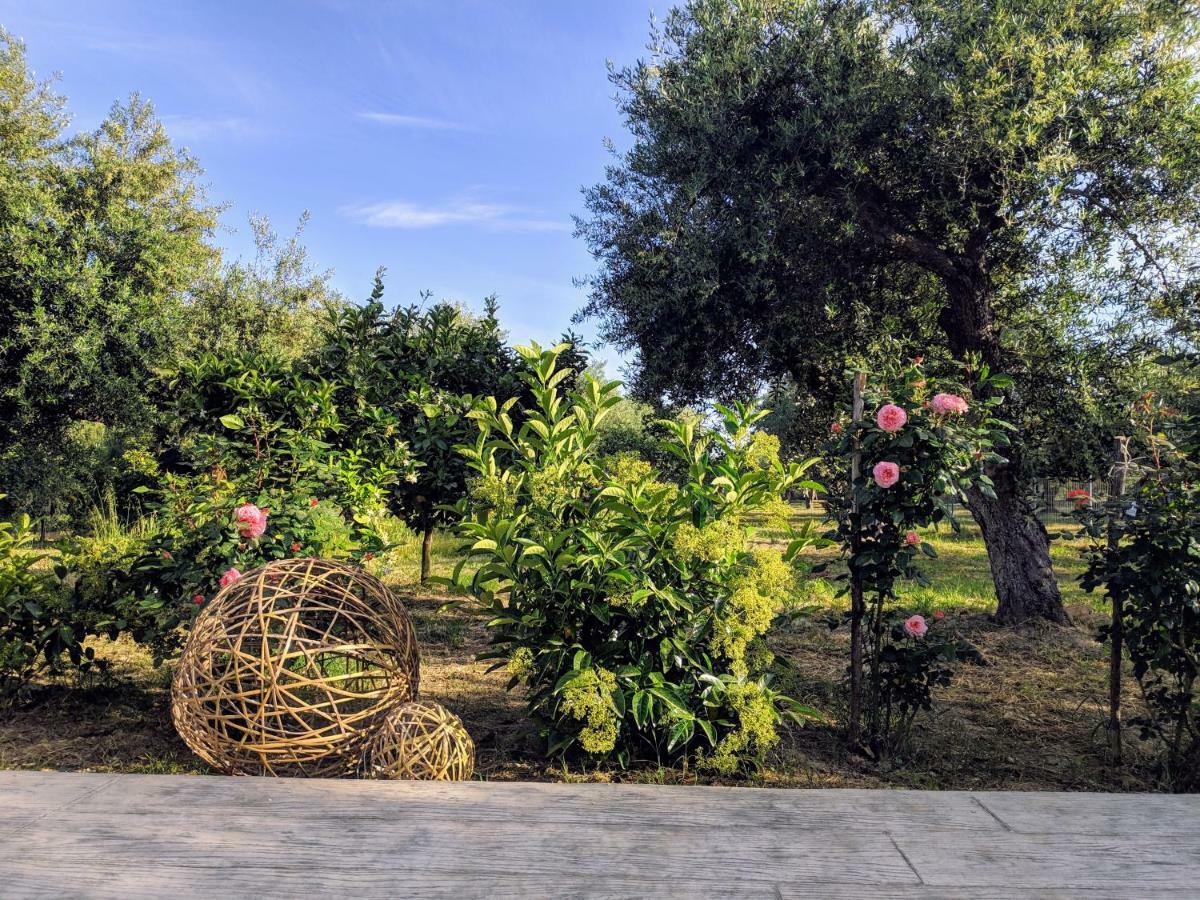 Casa Di Porto Roma Apartamento Vasilikí Exterior foto